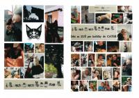 Kočičí koncert - titulní stránka s fotkami
