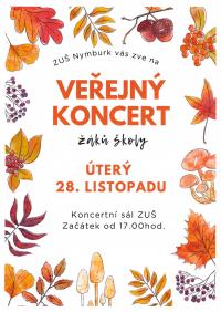 Veřejný koncert žáků školy